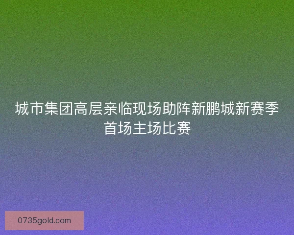 城市集团高层亲临现场助阵新鹏城新赛季首场主场比赛